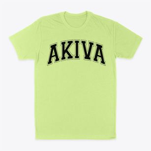 Akiva School Varsity Arch Classic Dad T-Shirt