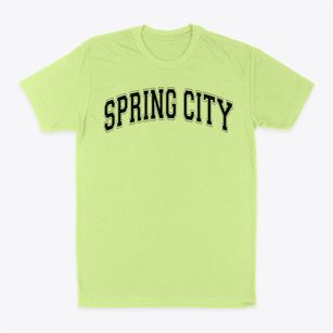 Spring City Elementary School Varsity Arch Classic Dad T-Shirt