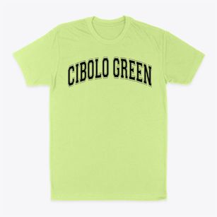 Cibolo Green Elementary School Varsity Arch Classic Dad T-Shirt