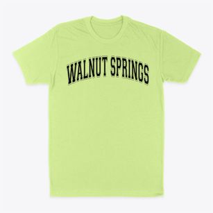 Walnut Springs School Varsity Arch Classic Dad T-Shirt