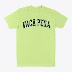 Vaca Pena Middle School Varsity Arch Classic Dad T-Shirt