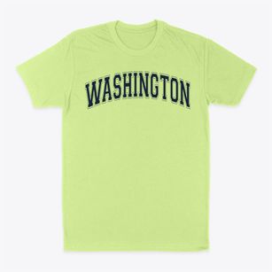 Washington Elementary School Varsity Arch Classic Dad T-Shirt