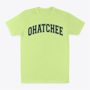 Ohatchee Elementary School Varsity Arch Classic Dad T-Shirt