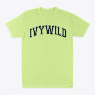 Ivywild Elementary School Varsity Arch Classic Dad T-Shirt