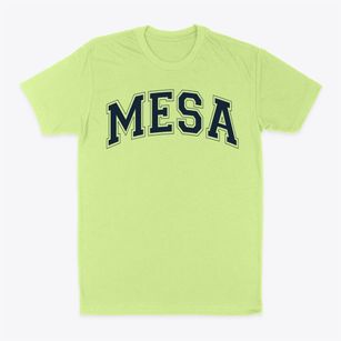 Mesa Elementary School Varsity Arch Classic Dad T-Shirt
