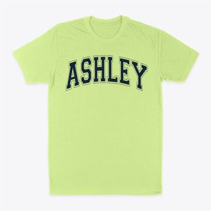 Ashley Elementary School Varsity Arch Classic Dad T-Shirt