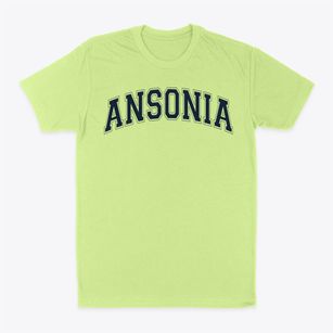 Ansonia Middle School Varsity Arch Classic Dad T-Shirt