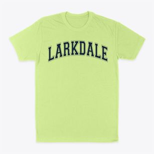 Larkdale Elementary School Varsity Arch Classic Dad T-Shirt