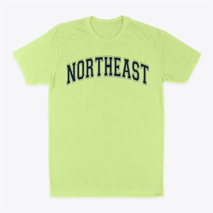 Northeast High School Varsity Arch Classic Dad T-Shirt