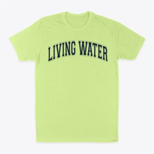 Living Water Christian Academy Varsity Arch Classic Dad T-Shirt