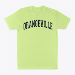 Orangeville Elementary School Varsity Arch Classic Dad T-Shirt