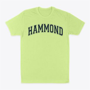Hammond City Baptist Grade School Varsity Arch Classic Dad T-Shirt