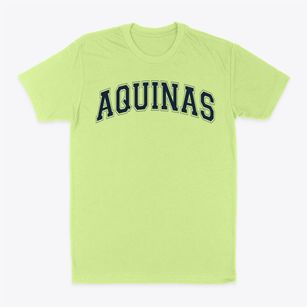 Aquinas Elementary School Varsity Arch Classic Dad T-Shirt