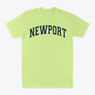 Newport Elementary School Varsity Arch Classic Dad T-Shirt