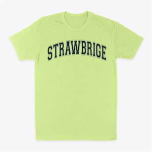 Strawbrige School Varsity Arch Classic Dad T-Shirt