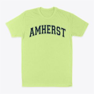 Amherst Montessori School Varsity Arch Classic Dad T-Shirt