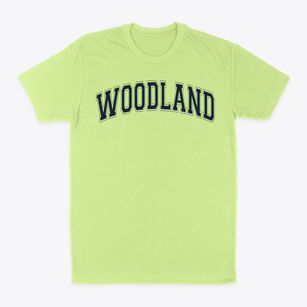 Woodland Elementary School Varsity Arch Classic Dad T-Shirt