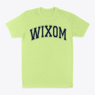 Wixom Elementary School Varsity Arch Classic Dad T-Shirt