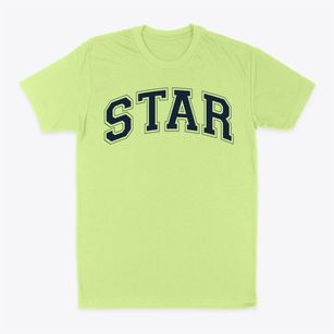 Star International Academy Varsity Arch Classic Dad T-Shirt