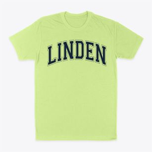 Linden Academy Of Science & Technology Varsity Arch Classic Dad T-Shirt