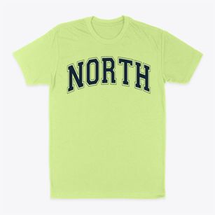 North Plainfield Middle School Varsity Arch Classic Dad T-Shirt