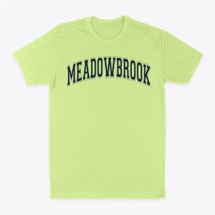 Meadowbrook Elementary School Varsity Arch Classic Dad T-Shirt