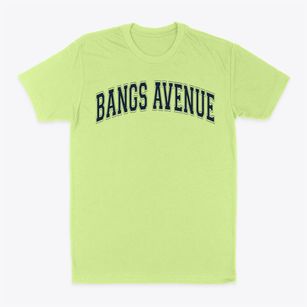 Bangs Avenue Elementary School Varsity Arch Classic Dad T-Shirt