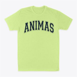Animas Elementary School Varsity Arch Classic Dad T-Shirt