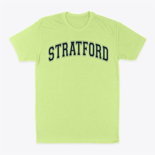 Stratford Avenue Elementary School Varsity Arch Classic Dad T-Shirt