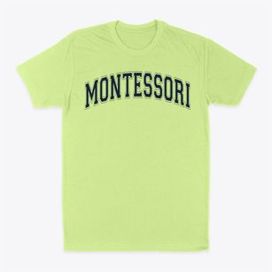 Montessori School Of Mill Basin Varsity Arch Classic Dad T-Shirt