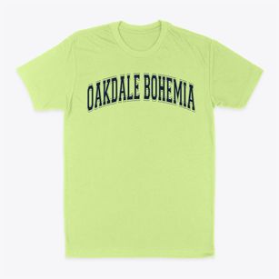 Oakdale Bohemia Middle School Varsity Arch Classic Dad T-Shirt