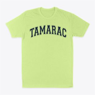 Tamarac Elementary School Varsity Arch Classic Dad T-Shirt
