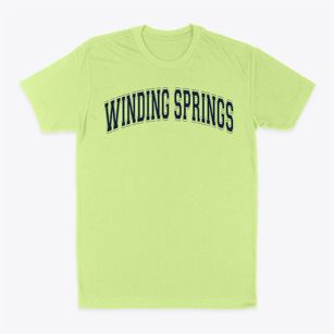 Winding Springs Elementary School Varsity Arch Classic Dad T-Shirt