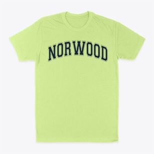 Norwood High School Varsity Arch Classic Dad T-Shirt