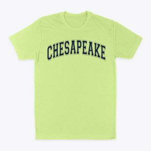 Chesapeake Middle School Varsity Arch Classic Dad T-Shirt