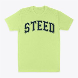 Steed Elementary School Varsity Arch Classic Dad T-Shirt