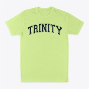 Trinity Christian Academy Varsity Arch Classic Dad T-Shirt