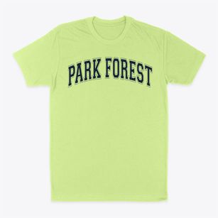 Park Forest Elementary School Varsity Arch Classic Dad T-Shirt