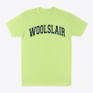 Woolslair Elementary School Varsity Arch Classic Dad T-Shirt