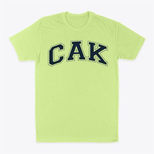 Christian Academy Of Knoxville Varsity Arch Classic Dad T-Shirt