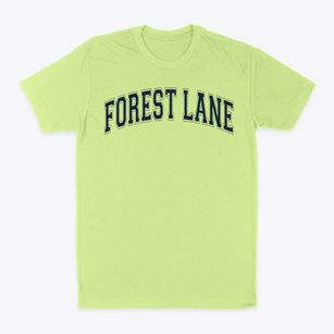 Forest Lane Academy Varsity Arch Classic Dad T-Shirt