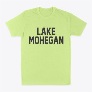 Lake Mohegan New York Classic Block Classic Dad T-Shirt