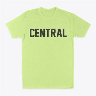 Central South Carolina Classic Block Classic Dad T-Shirt