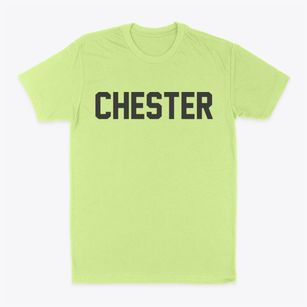 Chester Maryland Classic Block Classic Dad T-Shirt
