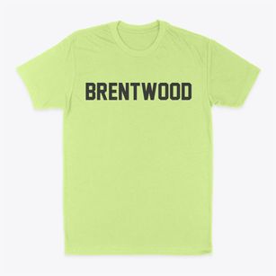 Brentwood New Hampshire Classic Block Classic Dad T-Shirt