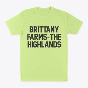 Brittany Farms-the Highlands Pennsylvania Classic Block Classic Dad T-Shirt