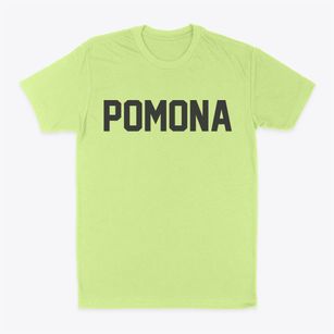 Pomona New York Classic Block Classic Dad T-Shirt