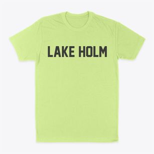 Lake Holm Washington Classic Block Classic Dad T-Shirt