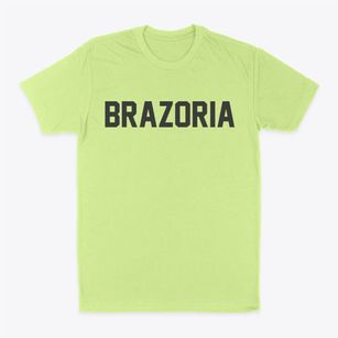Brazoria Texas Classic Block Classic Dad T-Shirt