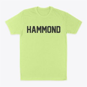 Hammond Wisconsin Classic Block Classic Dad T-Shirt